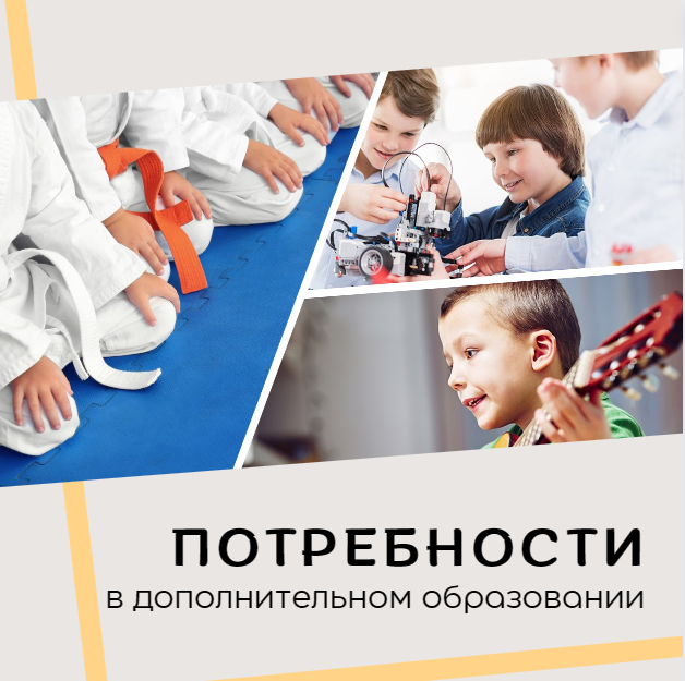 Потребность в дополнительном образовании детей в г. Кирове.