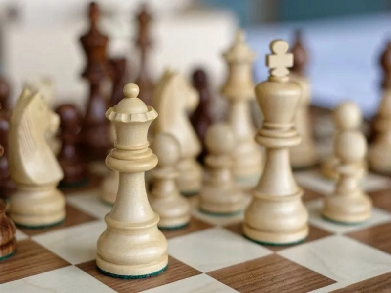 БЕСПЛАТНЫЕ занятия по шахматам для новичков «с нуля» в онлайн-школе «Шахматландия».